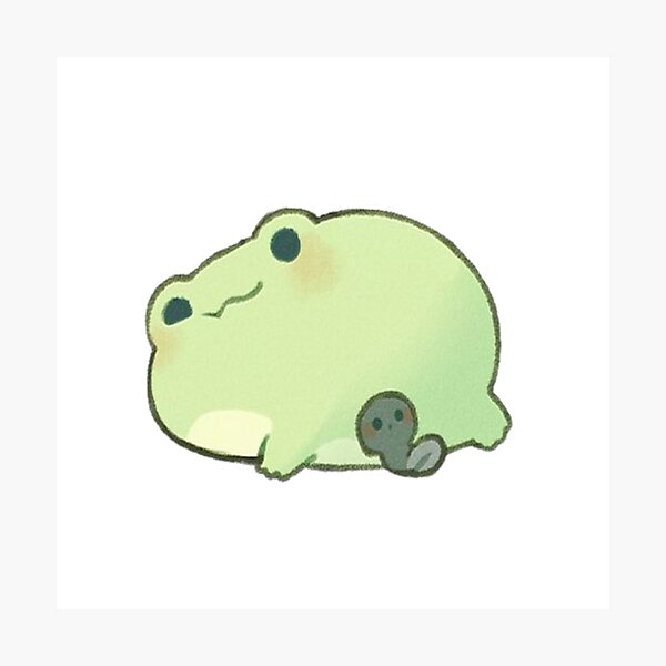 Anime Frog  Cute Frog HD phone wallpaper  Pxfuel