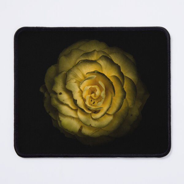 Item preview, Backyard Flowers No 85 Color Version designed and sold by The Learning Curve Photography.
