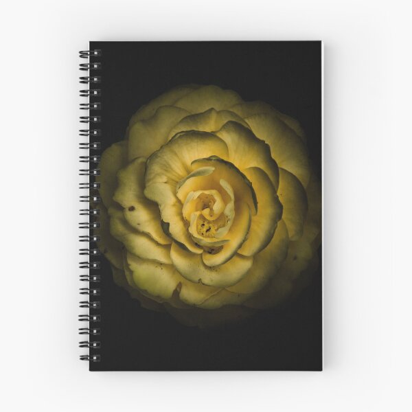 Item preview, Backyard Flowers No 85 Color Version designed and sold by The Learning Curve Photography.