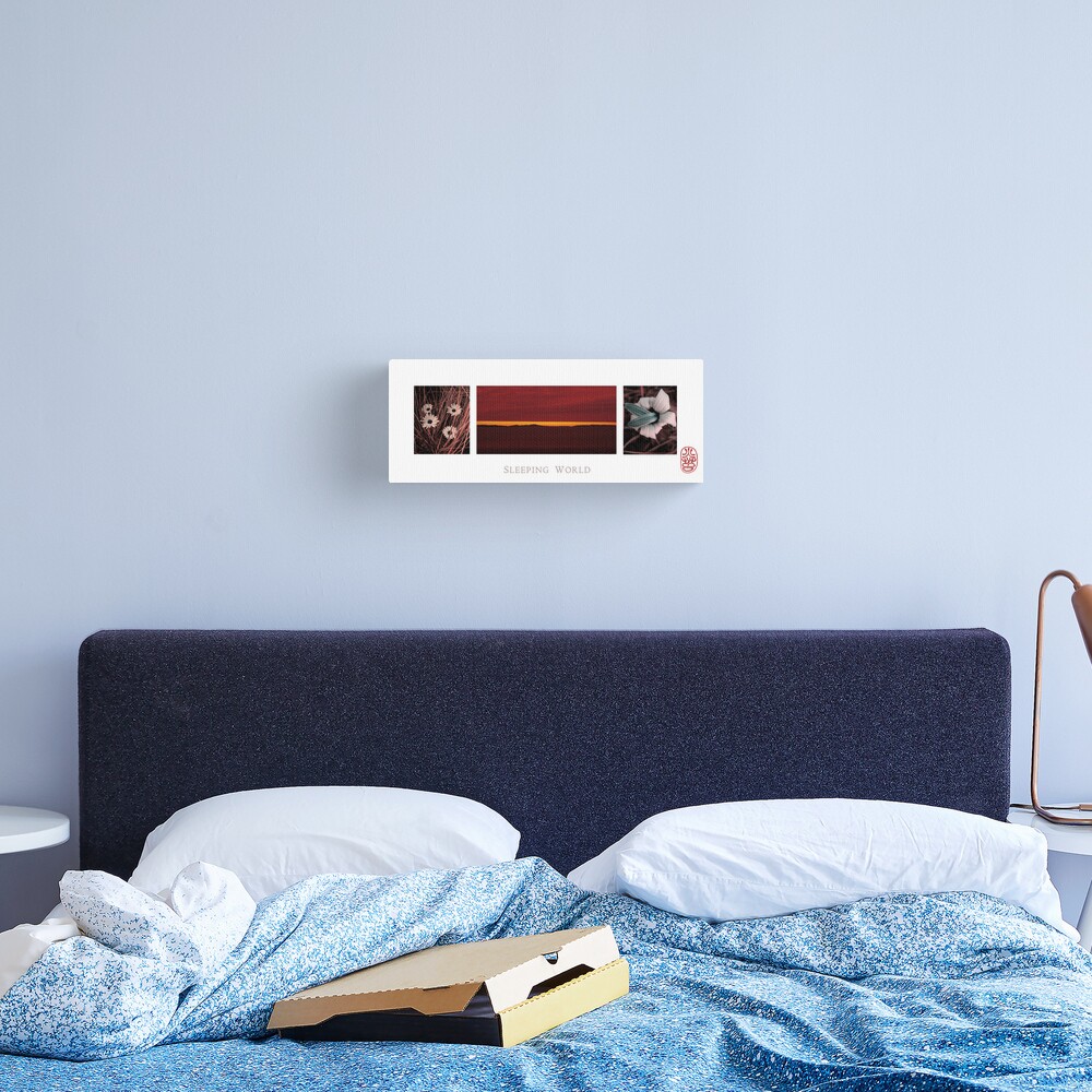 Sleeping World Canvas Print