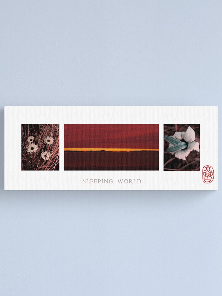 Alternate view of Sleeping World Canvas Print