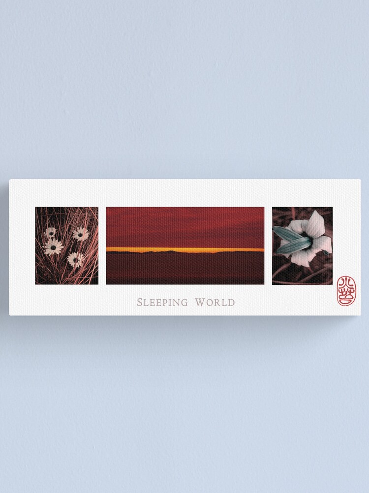 Alternate view of Sleeping World Canvas Print