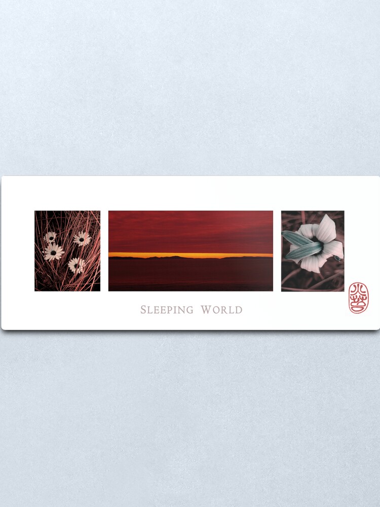 Alternate view of Sleeping World Metal Print