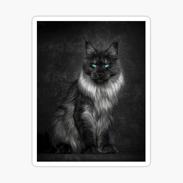 "Black cat with blue eyes" Sticker for Sale by BrkDesignsinc Redbubble