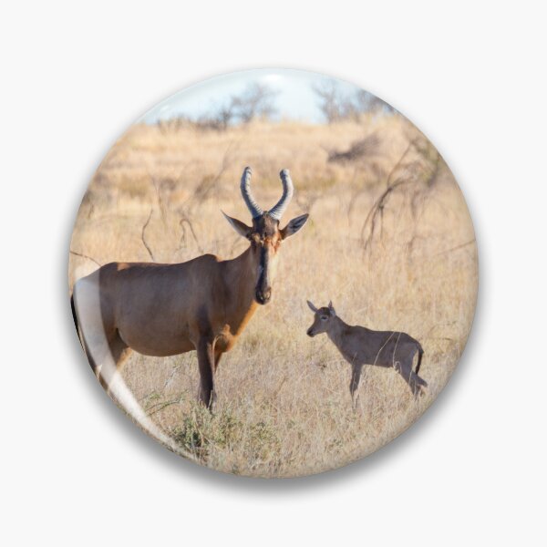 Item preview, Hartebeest Family - Kruger National Park designed and sold by holgermader.