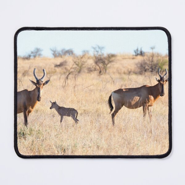 Item preview, Hartebeest Family - Kruger National Park designed and sold by holgermader.