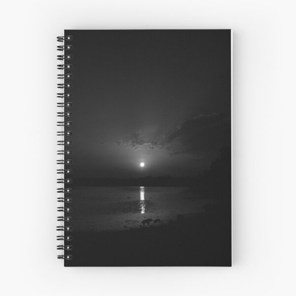 Item preview.