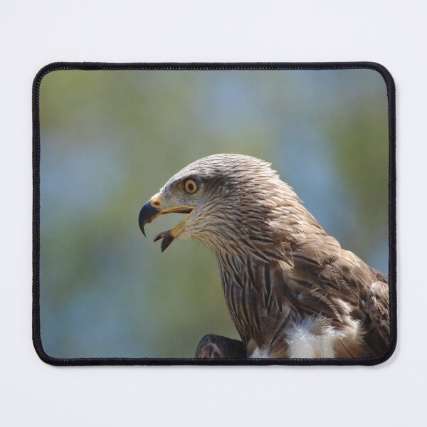 Item preview, Red Tailed Hawk designed and sold by Declan Carr.