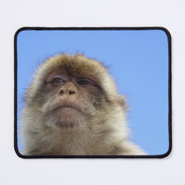 Item preview, Thoughtful Monkey designed and sold by clivesandles.