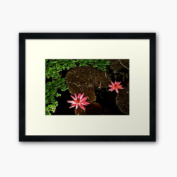 Sister worlds Framed Art Print