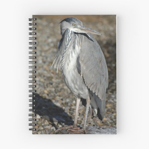 Item preview, grumpy old man designed and sold by Declan Carr.