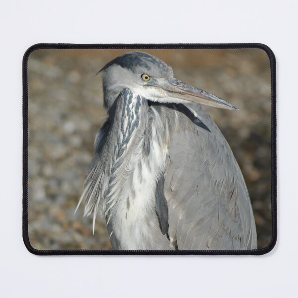 Item preview, grumpy old man designed and sold by Declan Carr.