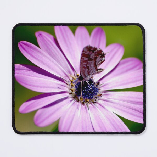 Item preview, In the Pink designed and sold by Declan Carr.