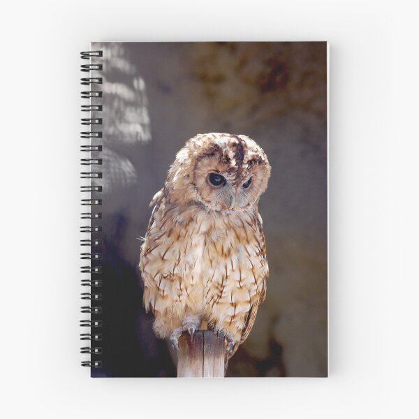 Item preview, Tawny owl designed and sold by Declan Carr.