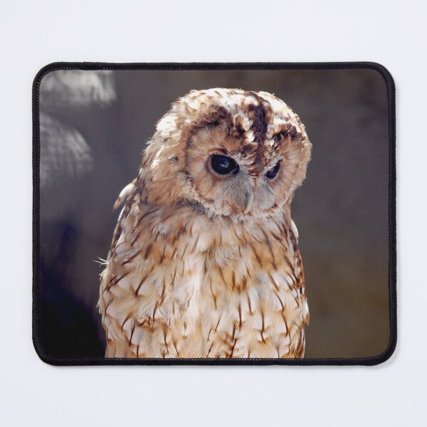 Item preview, Tawny owl designed and sold by Declan Carr.