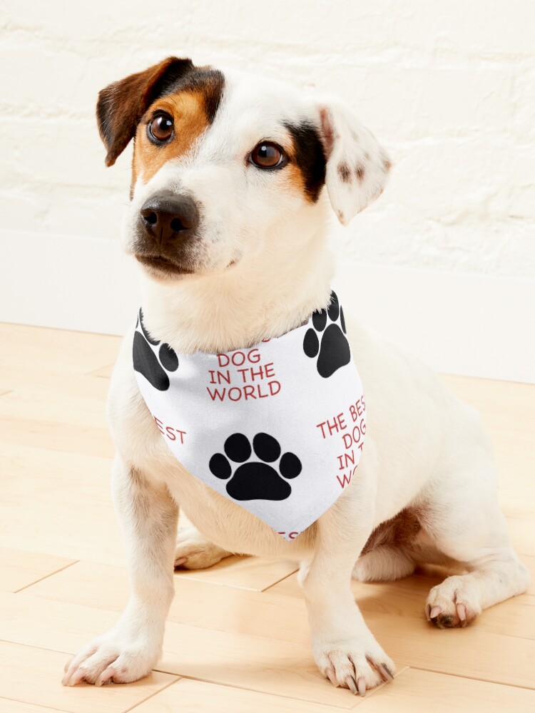 Best best sale dog bandana