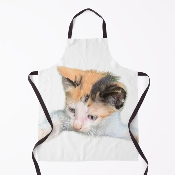 Item preview, Spot The Cat designed and sold by buycostarica.