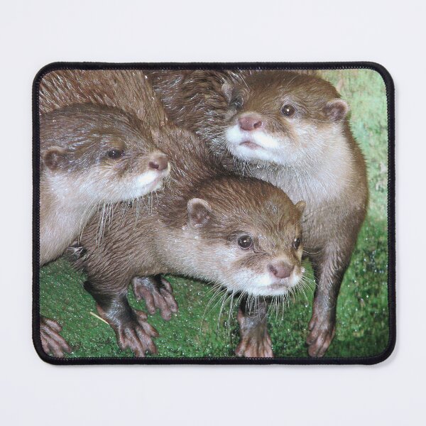Item preview, A trio of trouble designed and sold by Sharon Perrett.