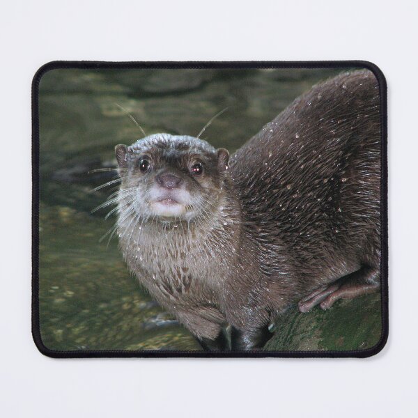 Item preview, Are you still here?? designed and sold by Sharon Perrett.
