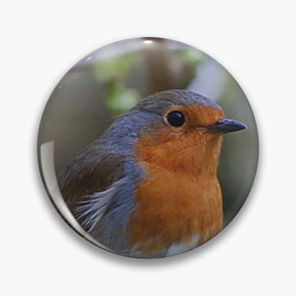 Item preview, Robin Red designed and sold by Declan Carr.