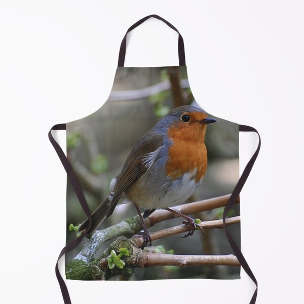 Item preview, Robin Red designed and sold by Declan Carr.