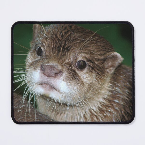 Item preview, Please sir can I have some more?? designed and sold by Sharon Perrett.