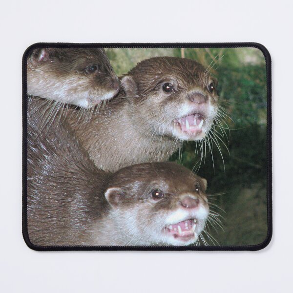 Item preview, Where's our dinner?? designed and sold by Sharon Perrett.