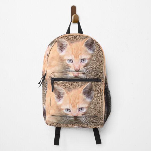 Item preview, Brown Cat designed and sold by buycostarica.