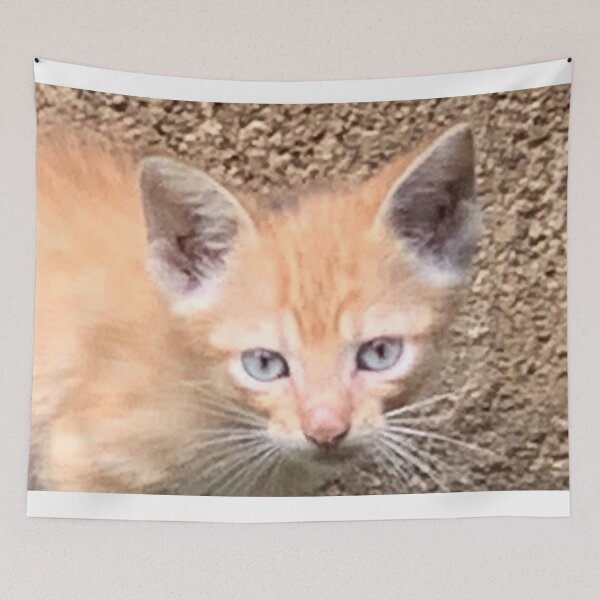 Item preview, Brown Cat designed and sold by buycostarica.