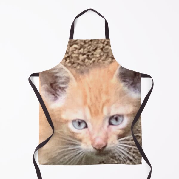 Artikelvorschau, Braune Katze entworfen und verkauft von buycostarica.