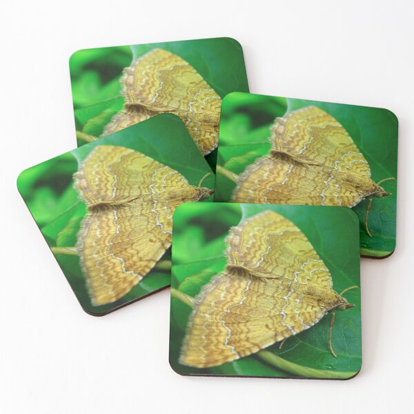Item preview, A beautiful Moth designed and sold by Sharon Perrett.