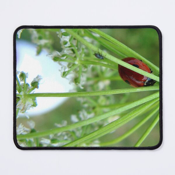Item preview, Trapped designed and sold by Sharon Perrett.