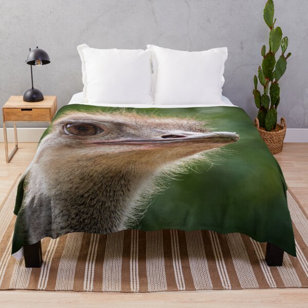 Item preview, Oh those eyes.  Ostrich designed and sold by Jouko Lehto Photography.