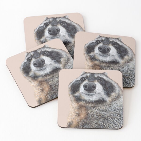 Item preview, Nice Raccoon designed and sold by KaitlynIllustr8.