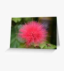 Red Fuzz! Greeting Card