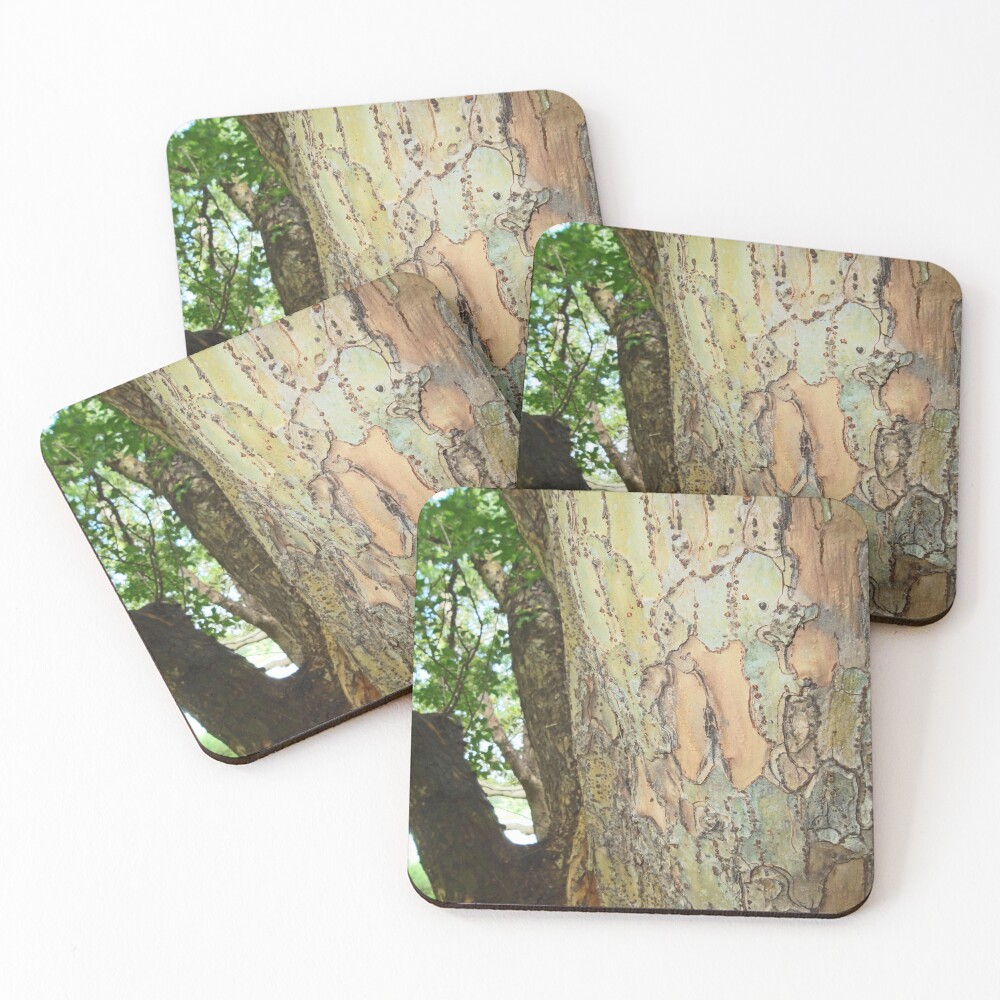 Item preview, Coasters (Set of 4) designed and sold by JLB2209.