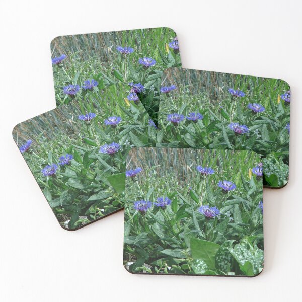 Item preview, Knapweed designed and sold by Sharon Perrett.