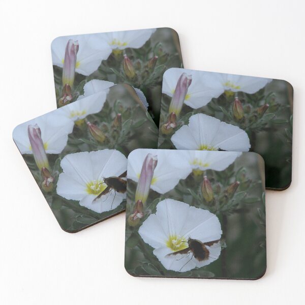 Item preview, Lunchtime designed and sold by Sharon Perrett.