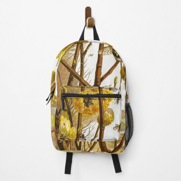 Item preview, Insects, Centipedes and Spiders Pl. 7 designed and sold by Twisted Wick.