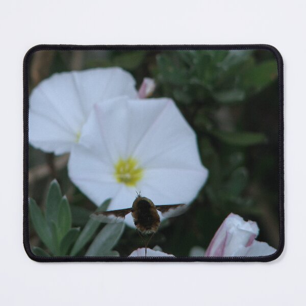 Item preview, On Target designed and sold by Sharon Perrett.