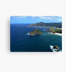 Great Barrier Island from the air........! Canvas Print