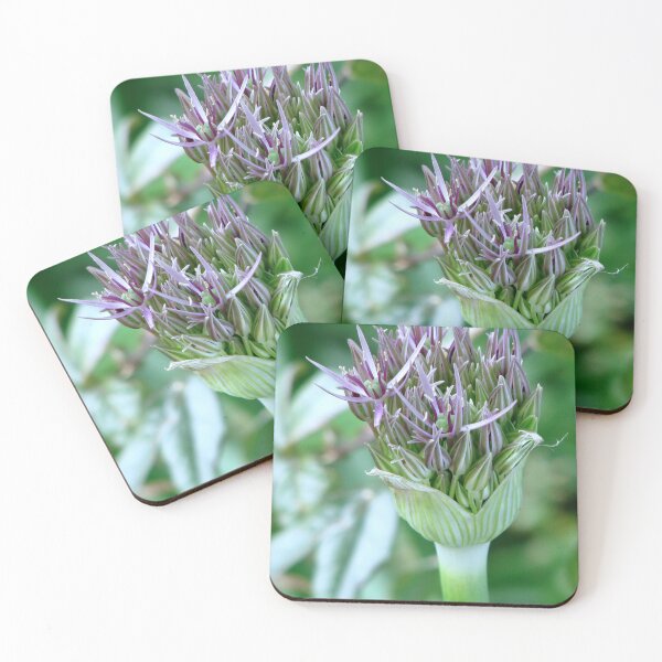 Artikelvorschau, Allium Christophii entworfen und verkauft von Sharon Perrett.