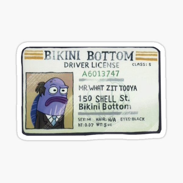 Pegatina «Mr. What Zit Tooya Spongebob Squarepants Licencia de conducir HD» de take8 Redbubble
