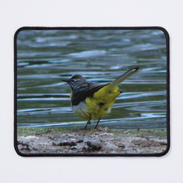 Item preview, Grey Wagtail designed and sold by Sharon Perrett.