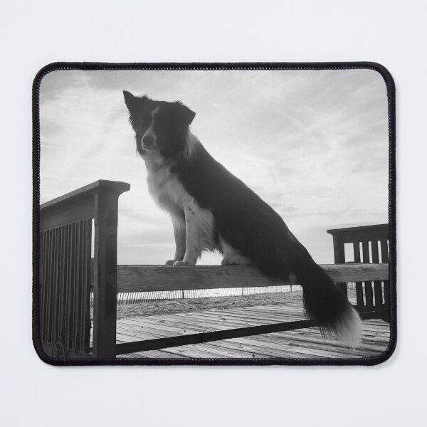 Item preview, Benched -- skylar landis, artist designed and sold by mabcr1.