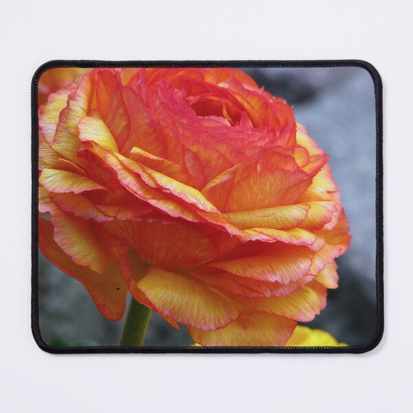 Item preview, Sunset Beauty designed and sold by Sharon Perrett.