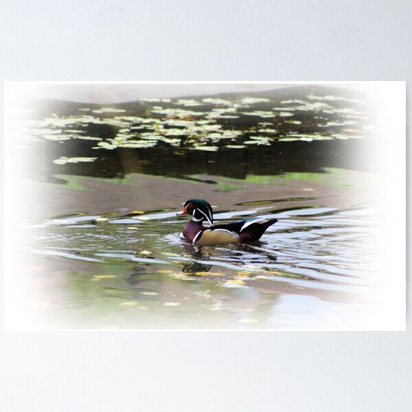 Item preview, Woodduck  designed and sold by mistyrose.