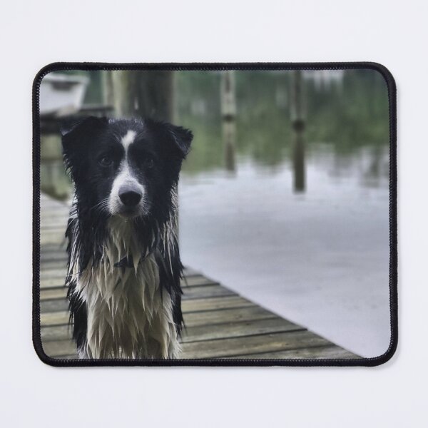 Item preview, What's next? -- skylar landis, artist designed and sold by mabcr1.