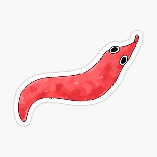 Worm on A String Sticker
