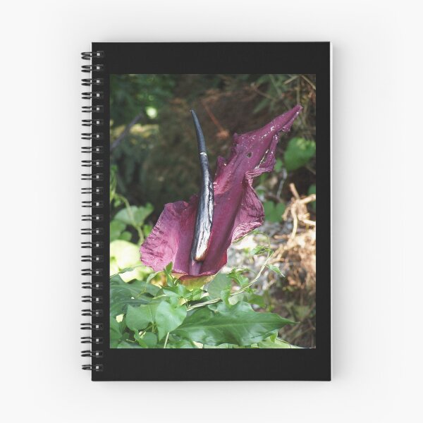 Item preview, Oregon "Passionflower" #10 designed and sold by Dawna Morton.